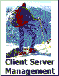Client Server Management